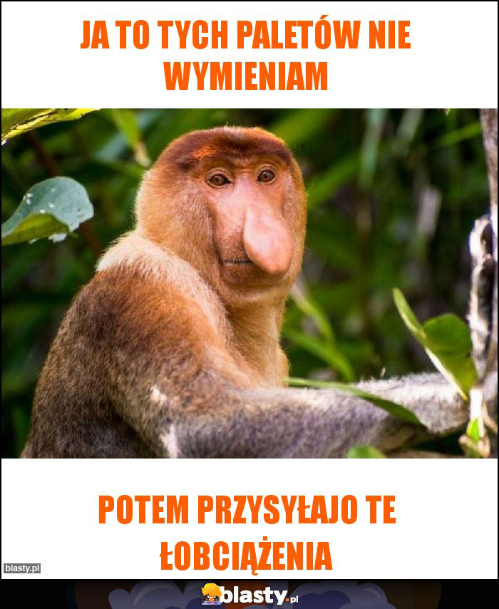 Ja to tych paletów nie wymieniam