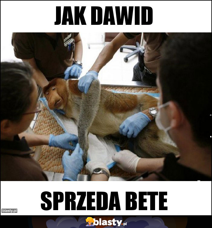 Jak dawid