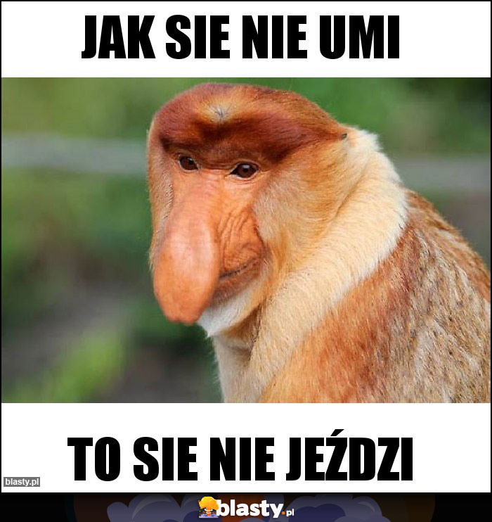 JAK SIE NIE UMI