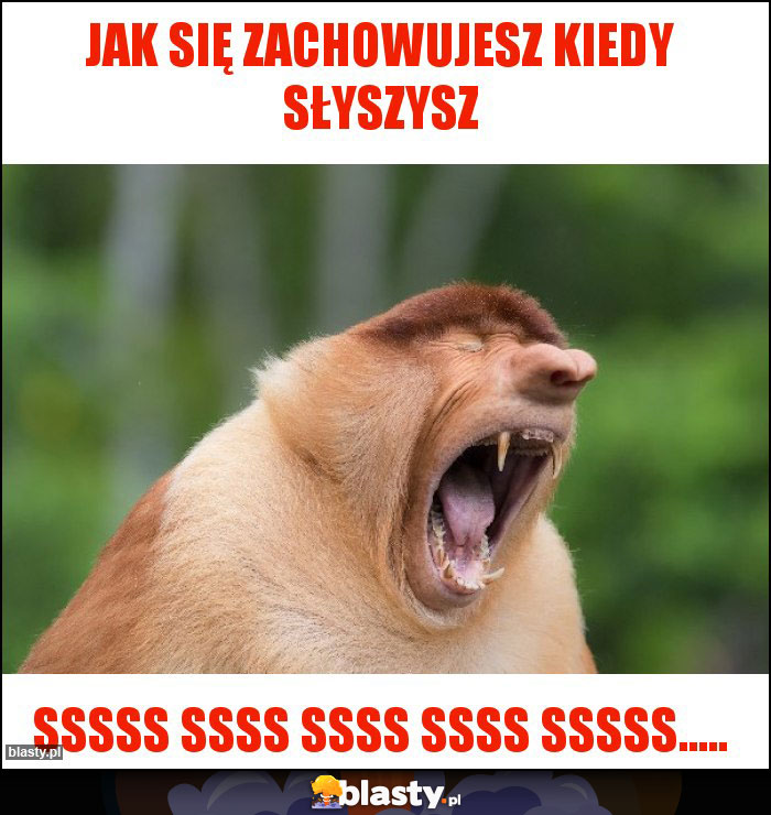 Jak się zachowujesz kiedy słyszysz