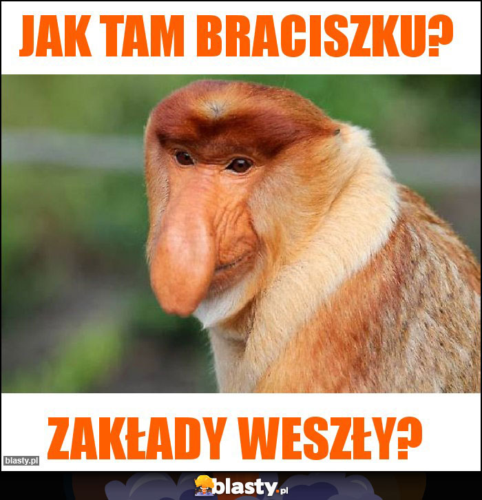 Jak tam braciszku?