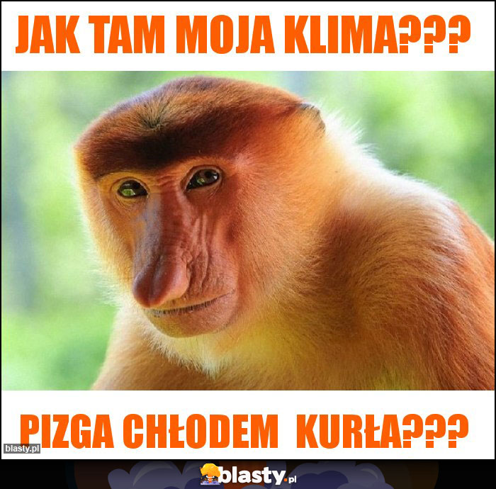 jak tam moja klima???