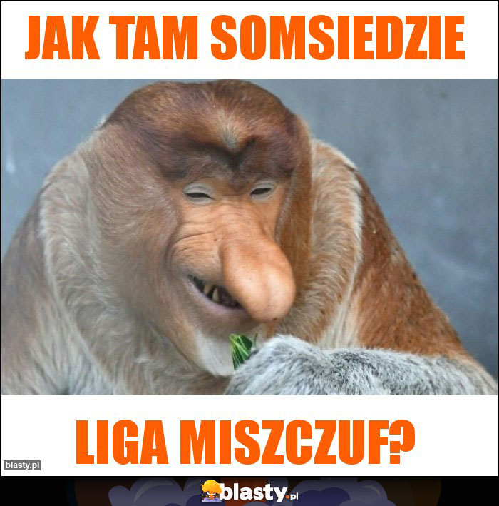 Jak tam somsiedzie