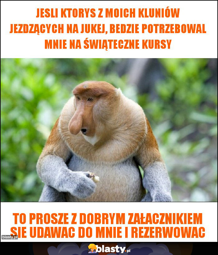 Jesli ktorys z moich kluniów jezdzących na jukej, bedzie potrzebowal mnie na świąteczne kursy