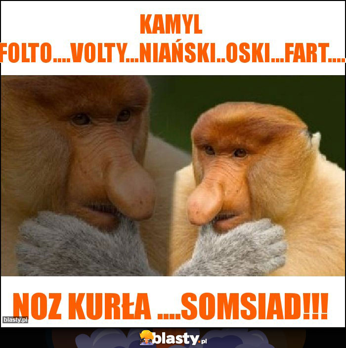 Kamyl Folto....Volty...niański..oski...Fart....