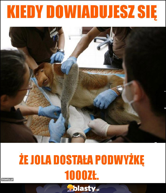 Kiedy dowiadujesz się