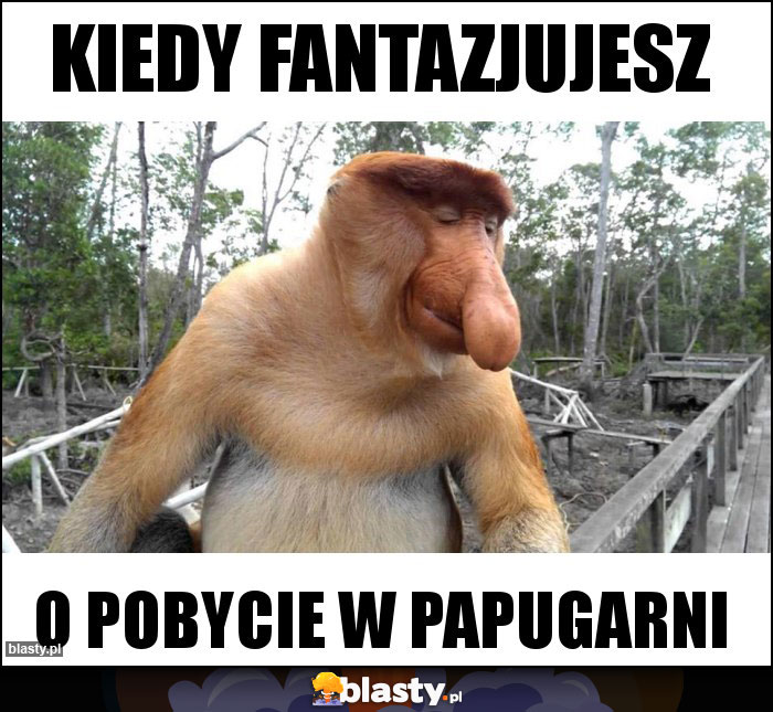 Kiedy fantazjujesz