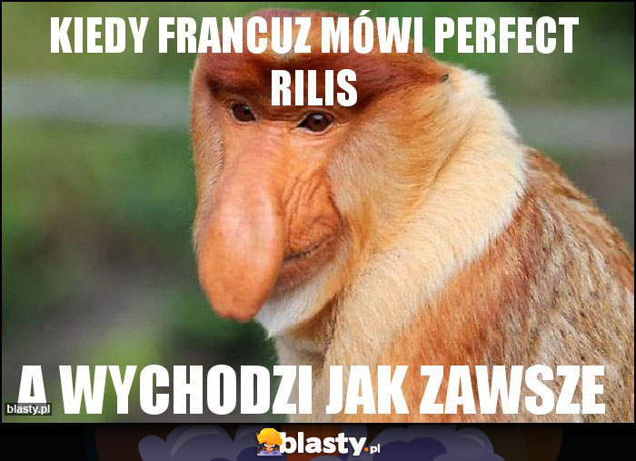 Kiedy francuz mówi perfect rilis