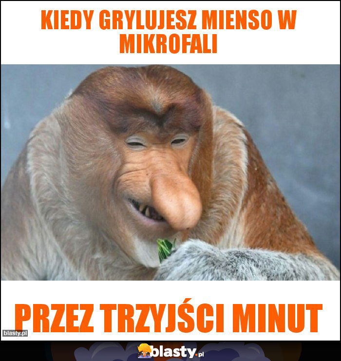 kiedy grylujesz mienso w mikrofali