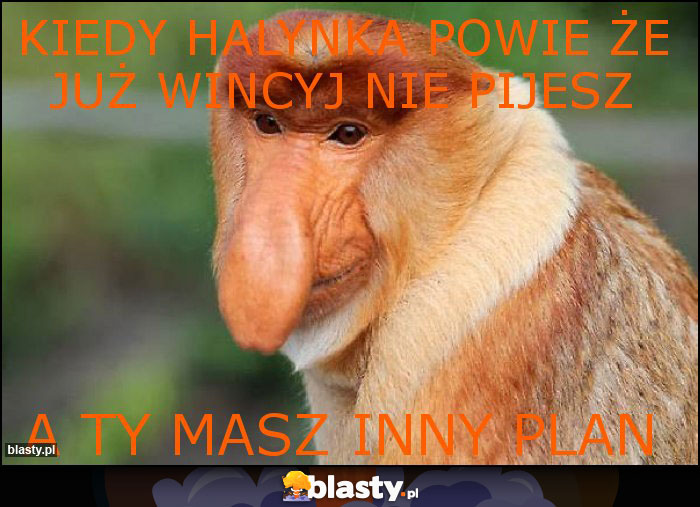 kiedy halynka powie że już wincyj nie pijesz