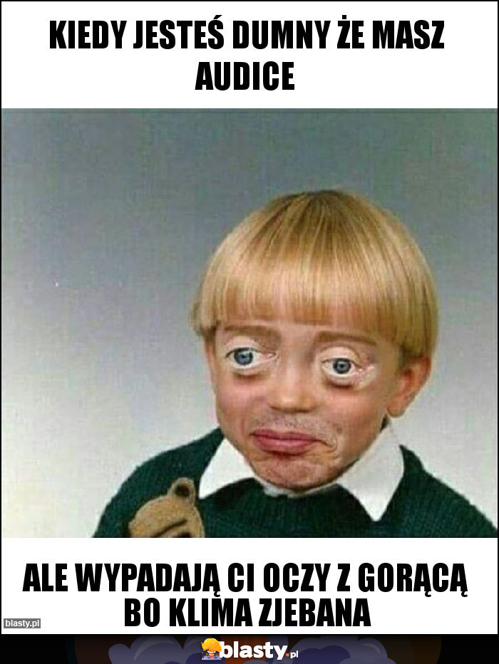 Kiedy jesteś dumny że masz Audice