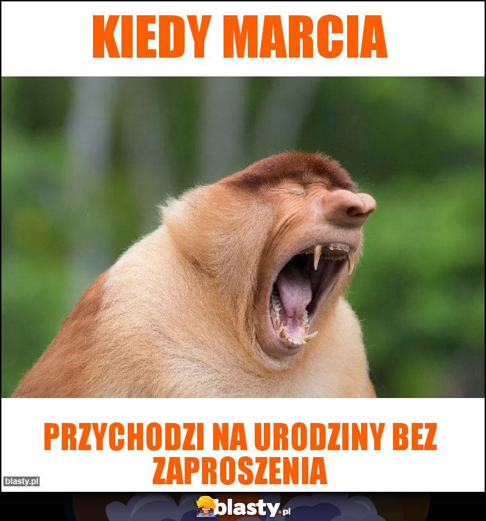 kiedy Marcia