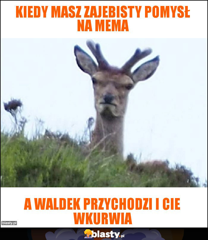 Kiedy masz zajebisty pomysł na mema