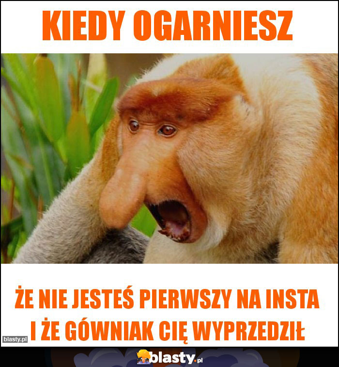 Kiedy ogarniesz