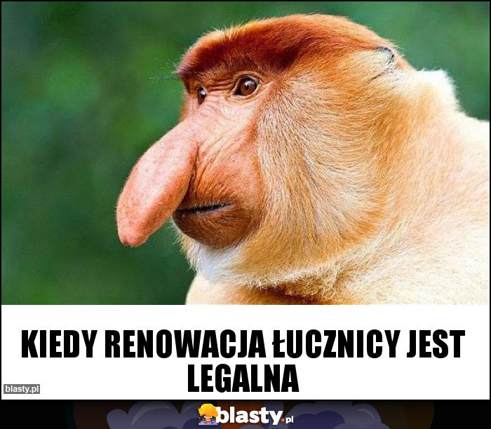 Kiedy renowacja łucznicy jest legalna