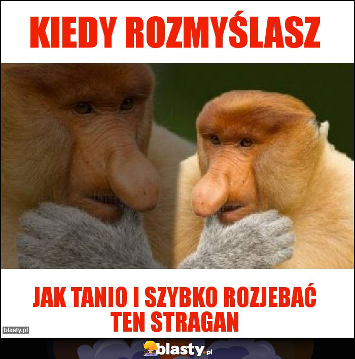 Kiedy rozmyślasz