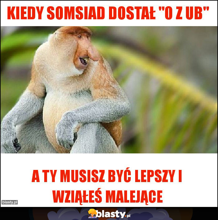 Kiedy somsiad dostał 