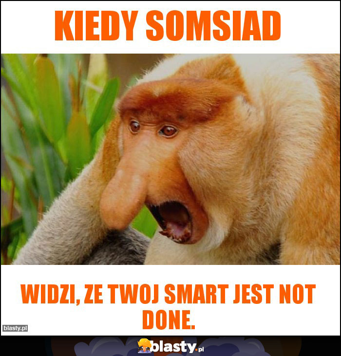 Kiedy somsiad