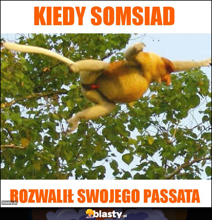 Kiedy somsiad