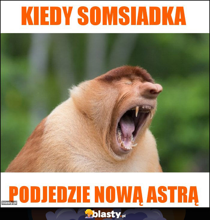 Kiedy somsiadka