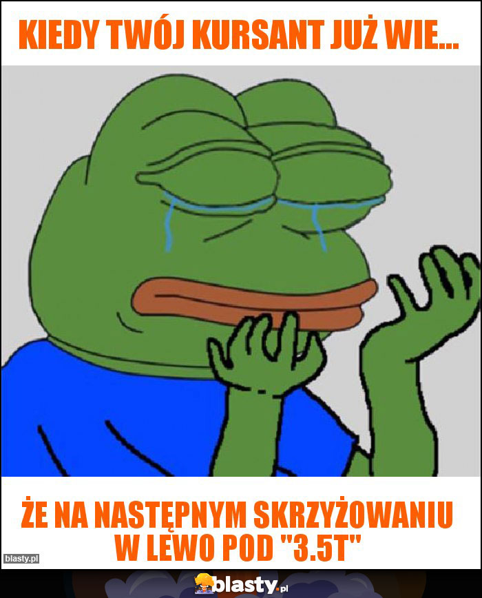 Kiedy Twój kursant już wie...