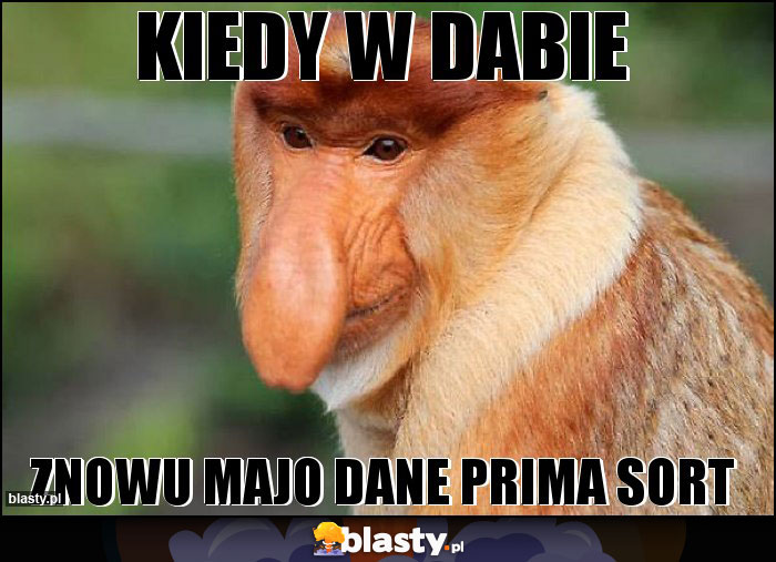 KIEDY W DABIE