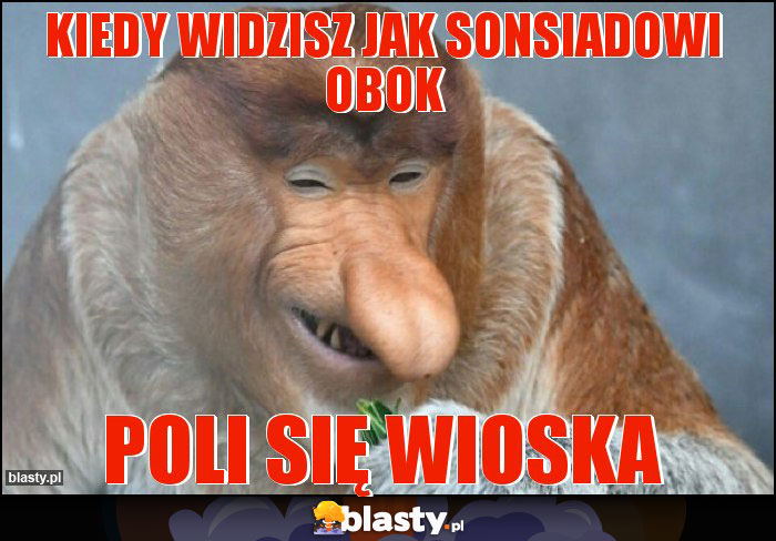 Kiedy widzisz jak sonsiadowi obok