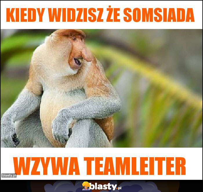 Kiedy widzisz że somsiada