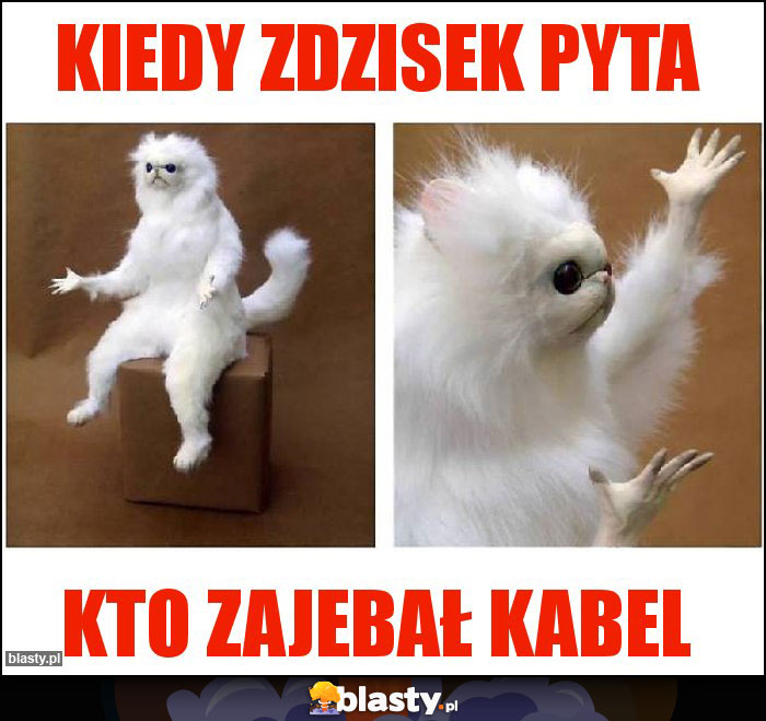 Kiedy zdzisek pyta