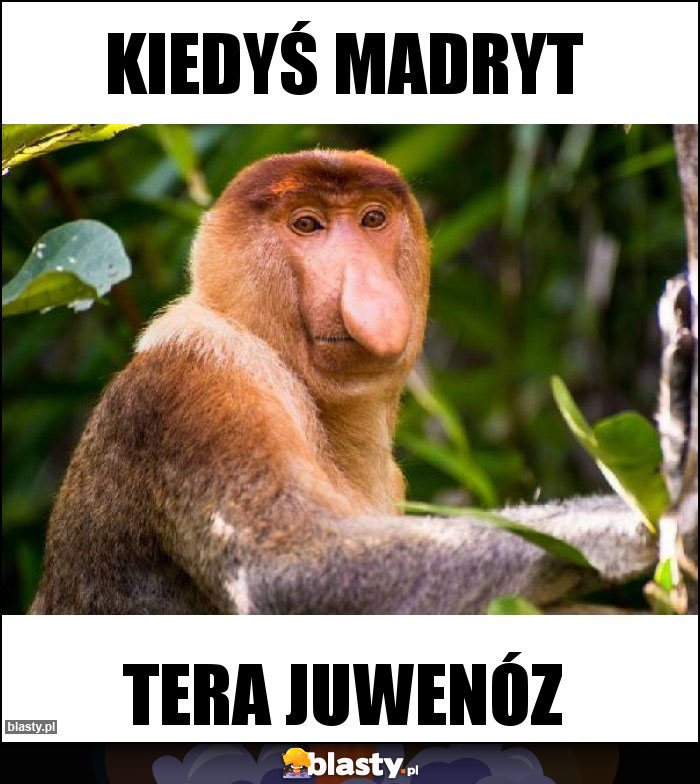 KIEDYŚ MADRYT