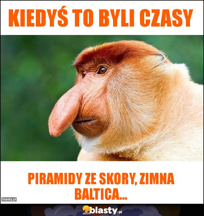 Kiedyś to byli czasy