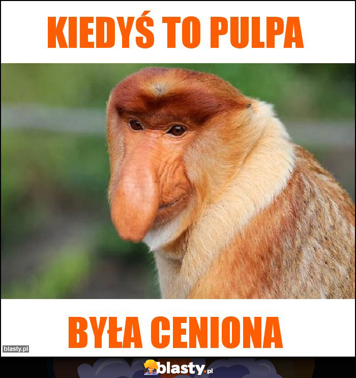 kiedyś to pulpa