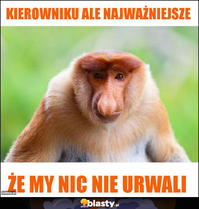 Kierowniku ale najważniejsze