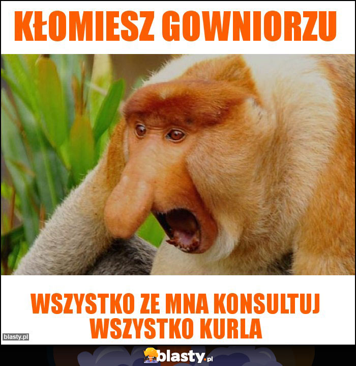 KŁOmiesz gowniorzu