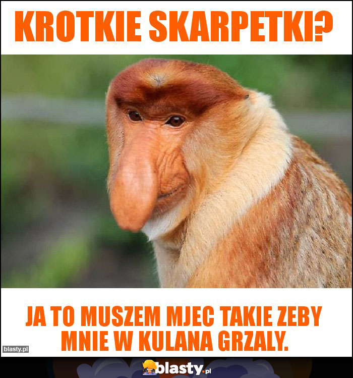 Krotkie skarpetki?