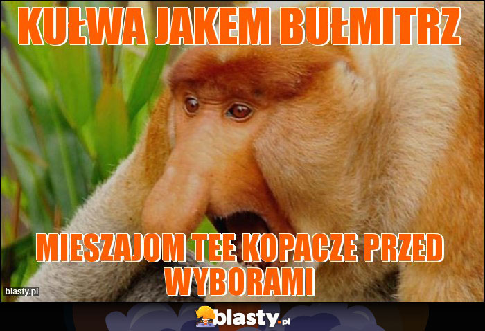 kułwa jakem bułmitrz