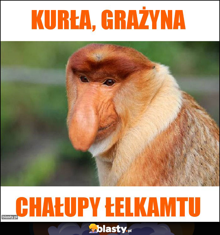 Kurła, Grażyna