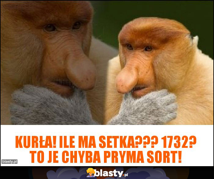 Kurła! Ile ma setka??? 1732? To je chyba pryma sort!