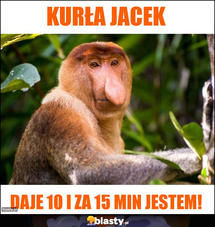 Kurła Jacek