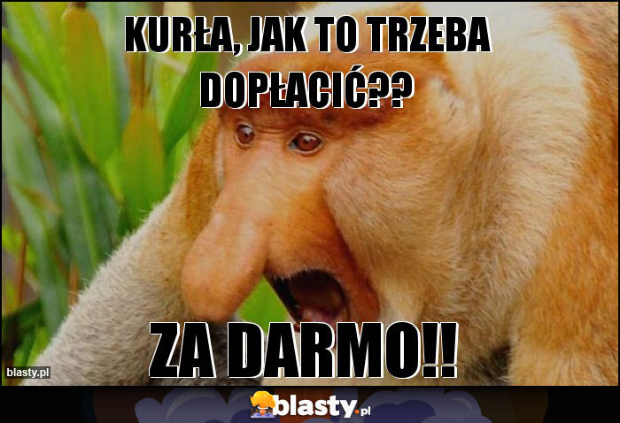 Kurła, jak to trzeba dopłacić??