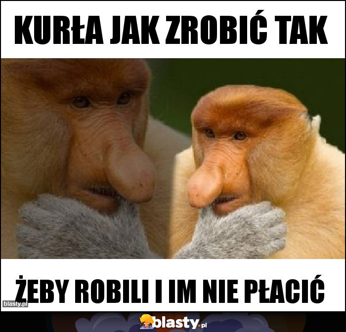 kurła jak zrobić tak