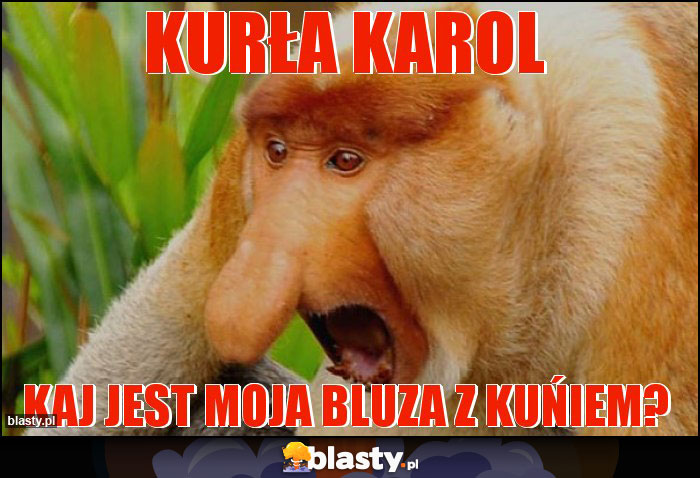 KURŁA KAROL