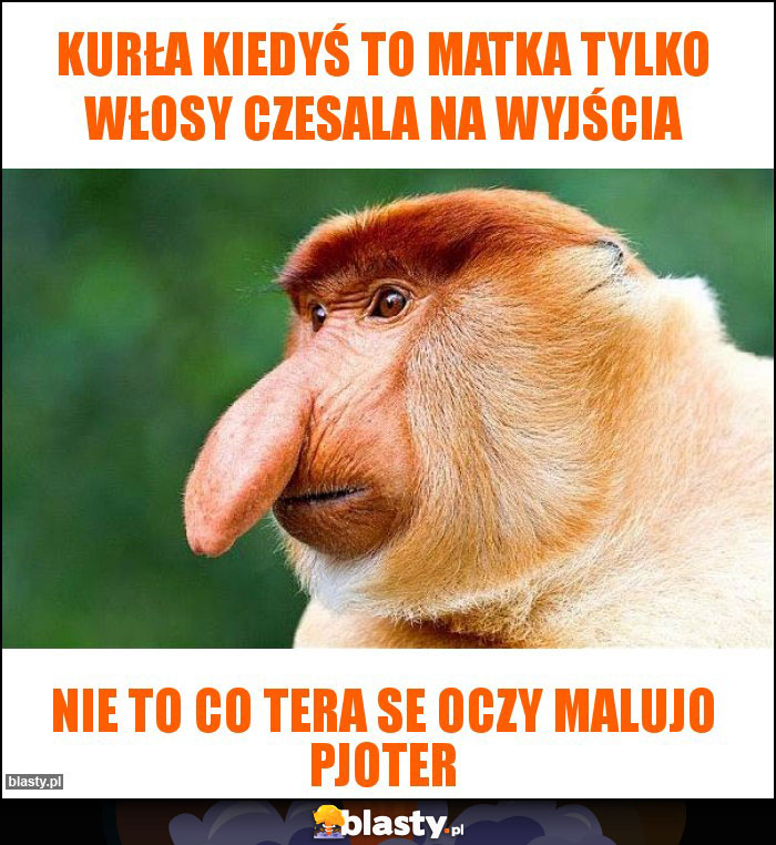 Kurła kiedyś to matka tylko włosy czesala na wyjścia