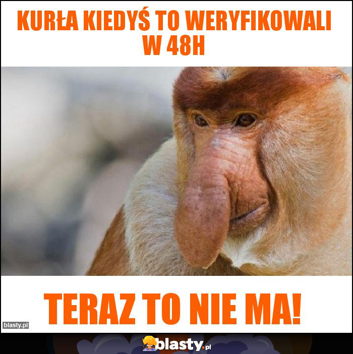 Kurła kiedyś to weryfikowali w 48H