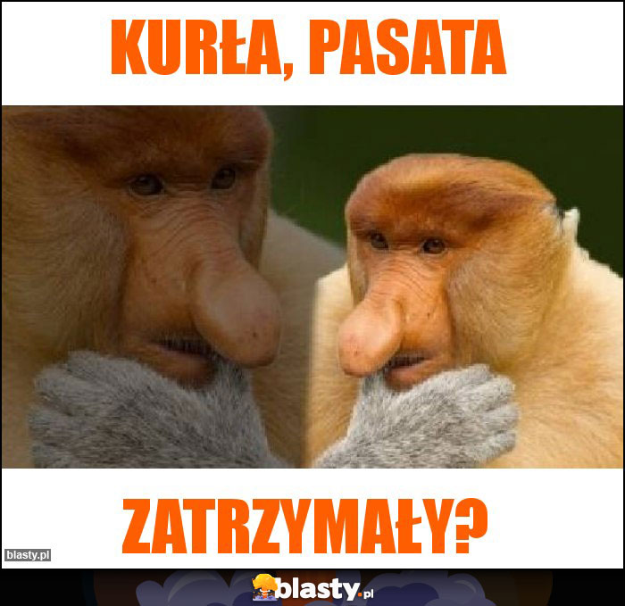 Kurła, pasata