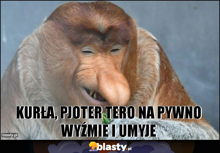 Kurła, pjoter tero na pywno wyźmie i umyje