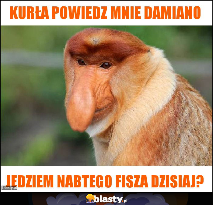 Kurła powiedz mnie damiano