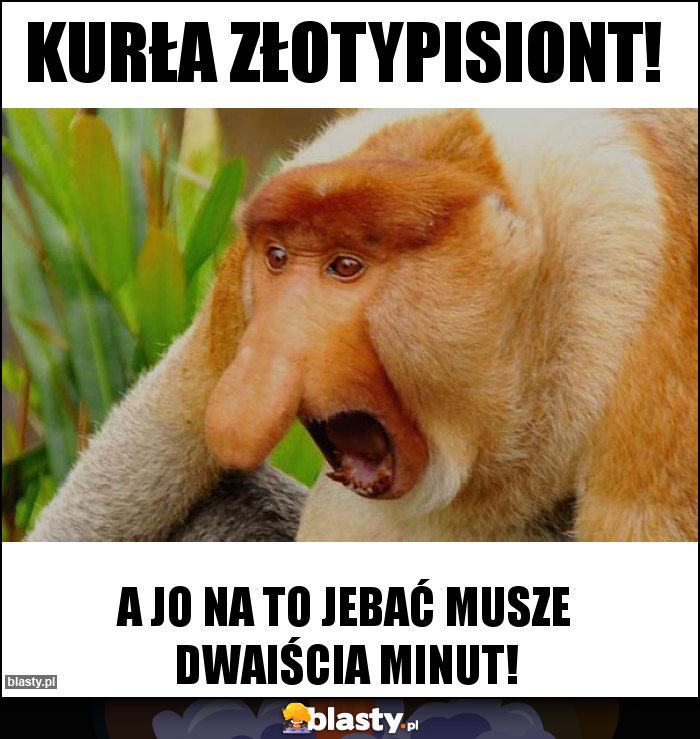 KURŁA ZŁOTYPISIONT!