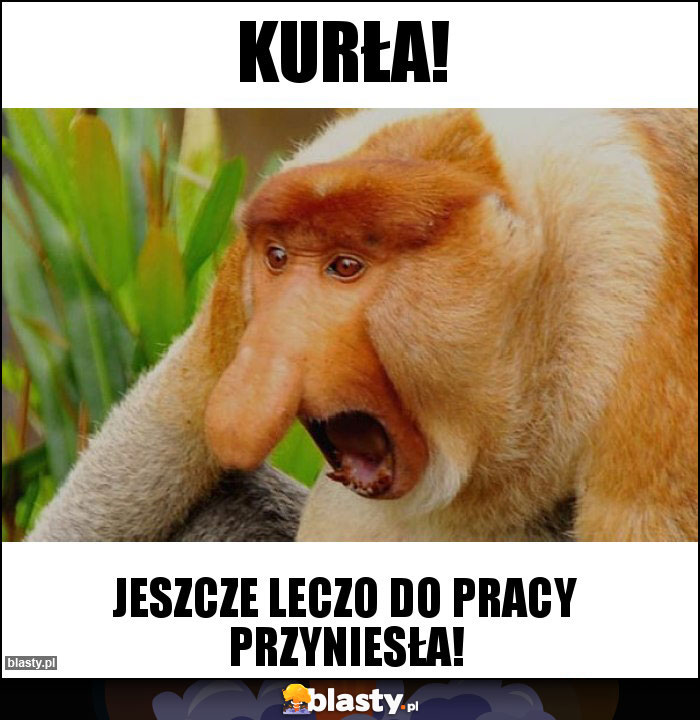 KURŁA!