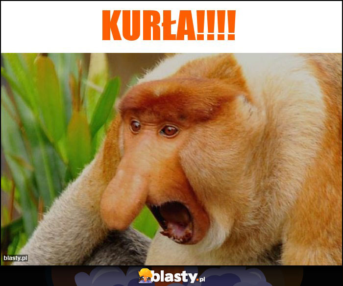 KURŁA!!!!